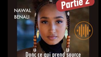 Partie 2 Racisme anti-Noir au Maghreb avec Nawal Benali